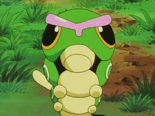 Pokemon Caterpie Caterpillar GIF