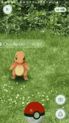 Pokemon Go Ran Down Meme GIF