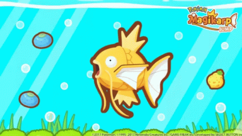 Pokemon Magikarp In An Aquarium GIF