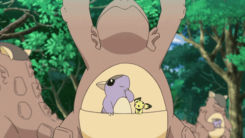 Pokemon Pichu In Kangaskhan Pouch GIF