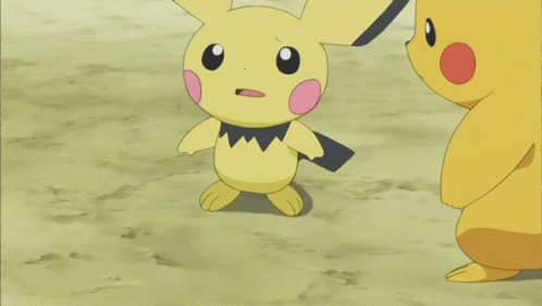 Pokemon Pichu With Pikachu GIF