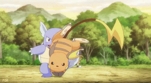 Pokemon Raichu And Wartortle GIF