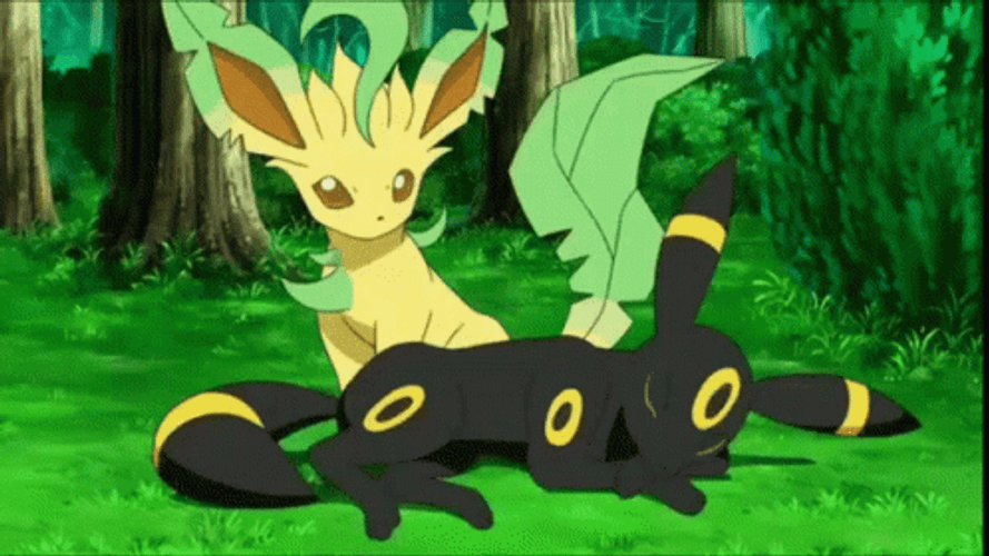 Pokemon Sleeping Umbreon Leafeon GIF