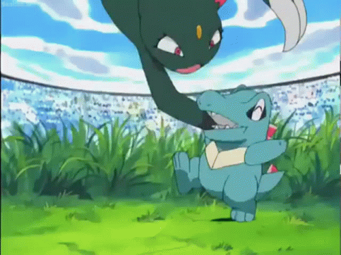 Pokemon Totodile And Sneasel Fighting Meme GIF