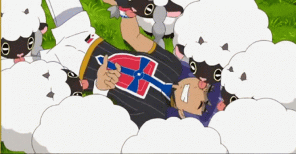 Pokemon Trainer Happy To Have Many Wooloo GIF