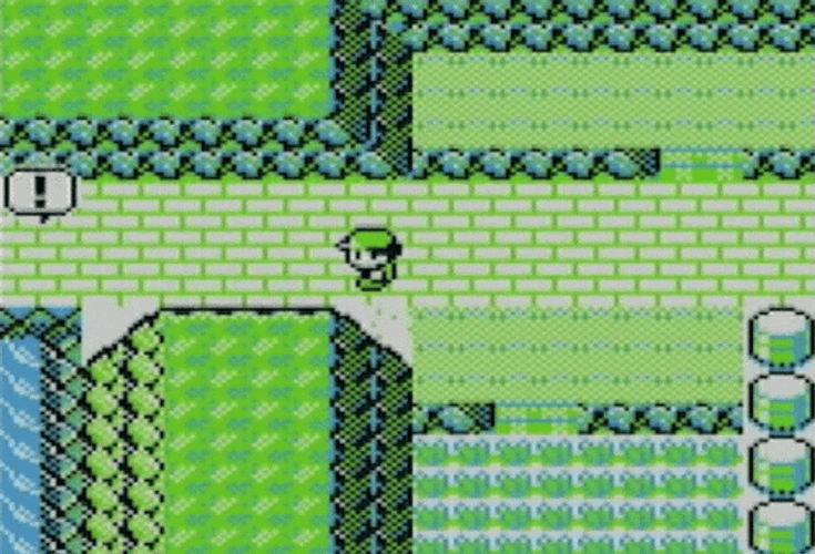 Pokemon Video Game GIF