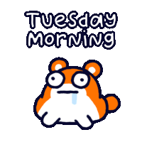 Poki Hamster Sticker GIF