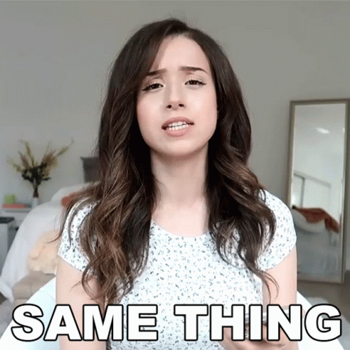 Pokimane Talking About Same Thing GIF