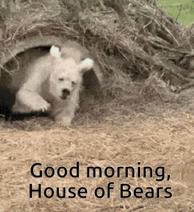 Polar Bear Cub Peeking Out of Hole