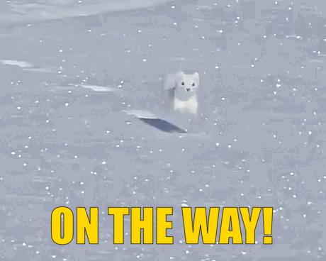 Polar Bear in Snow Saying On The Way