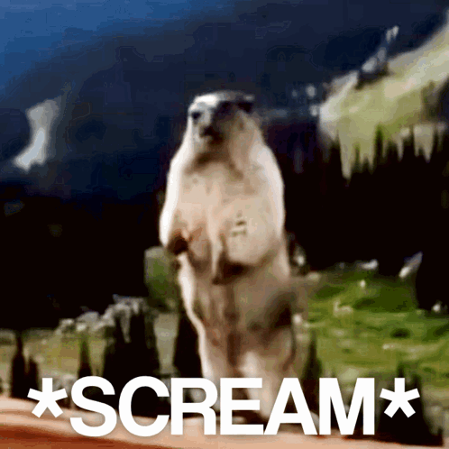 Polar Bear Screaming GIF