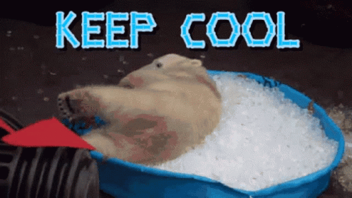 Polar Bear Swimming On Ice Stay Cool GIF