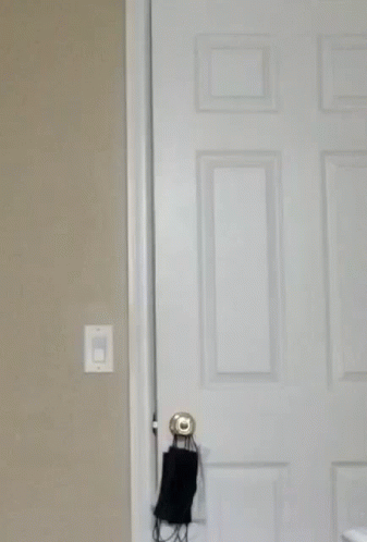 Polar Bear With Hannah Lurking GIF