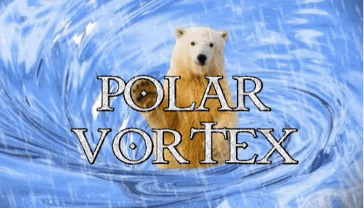 Polar Vortex Hi Gif GIF