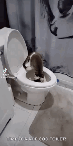 Pole Dancer Performing Trick