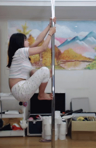 Pole Dancing 323 X 498 Gif GIF