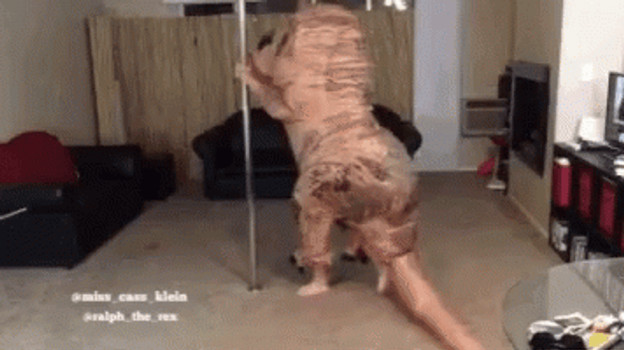 Pole Dancing Dinosaur Mascot GIF
