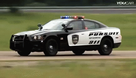 Police Car 434 X 250 Gif GIF
