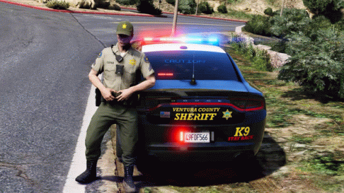 Police Car 498 X 280 Gif GIF