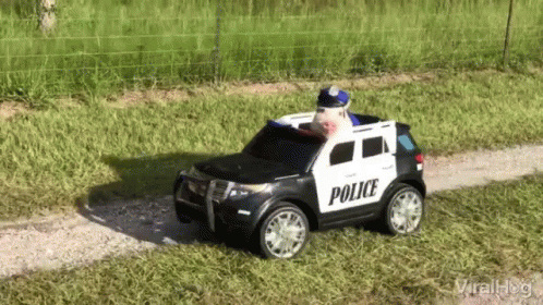 Police Car 498 X 280 Gif GIF