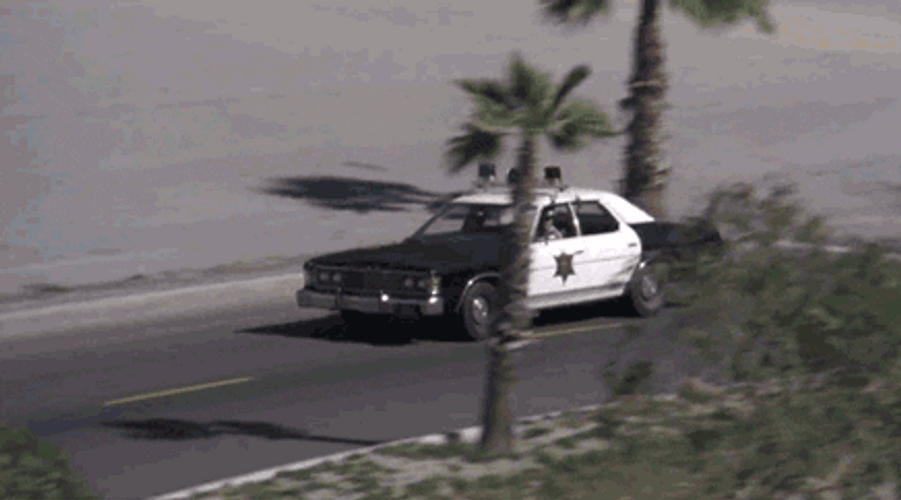 Police Car Cops On Duty GIF