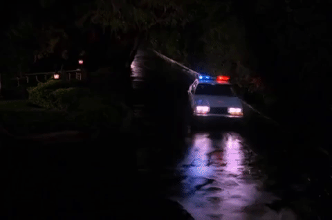 Police Car Going To The House Lights GIF