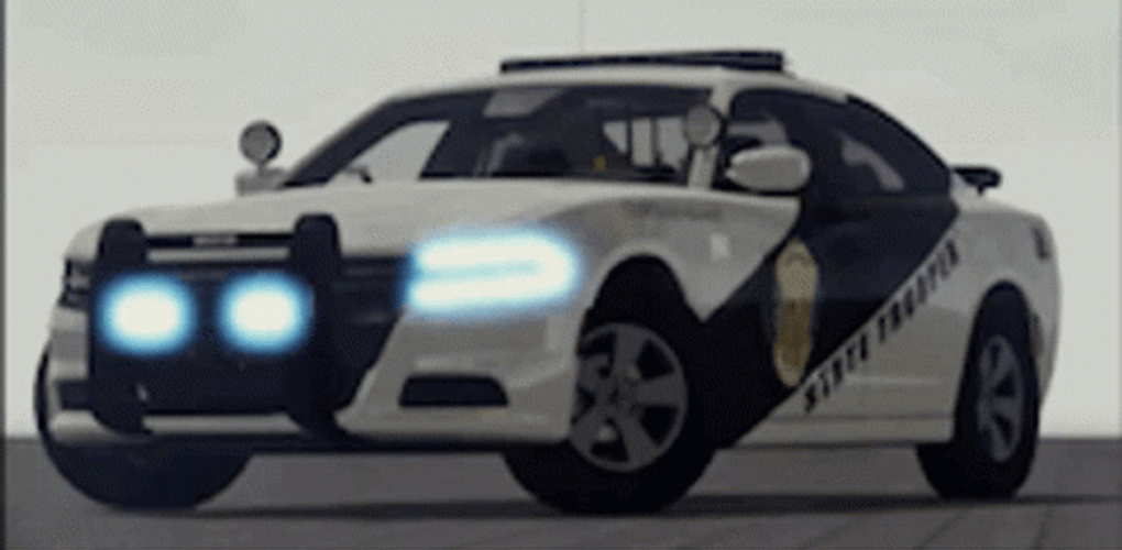 Police Car GIF