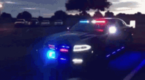 Police Car Lights Dodge Charger GIF