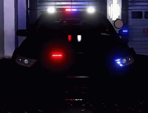 Police Car Lights Law Enforcement GIF