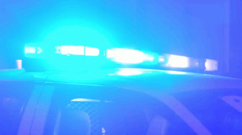 Police Car Lights On Top GIF