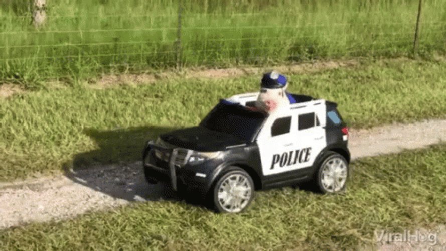 Police Car GIF