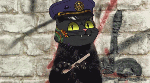 Police Cat Nail File Face App GIF