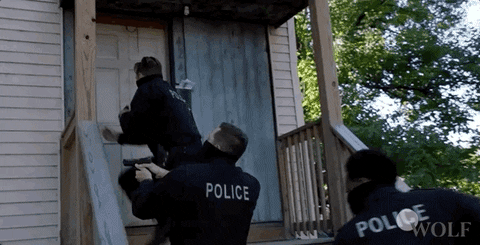 Police Investigates Dick Wolf Series GIF