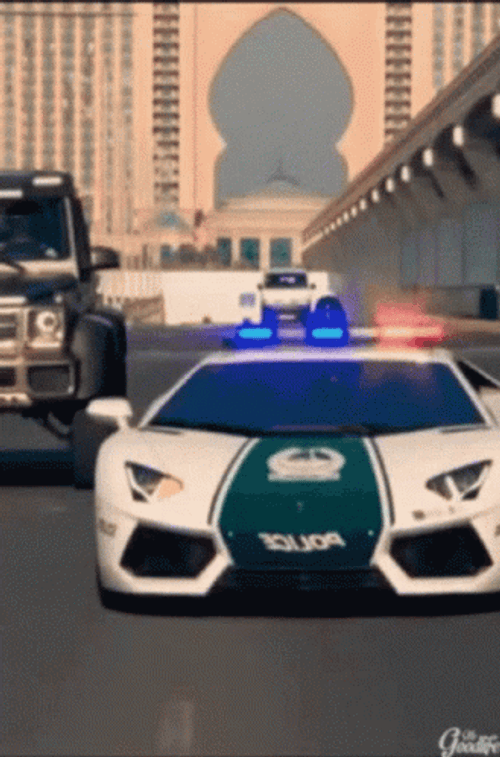 Police Lights Cop Care Sports Car Lamborghini GIF