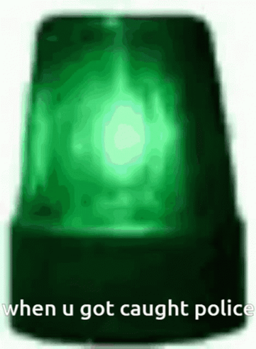 Police Lights Green When You Got Caught GIF