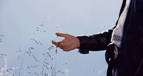 Police Officer Hand Reaching to Touch Grass
