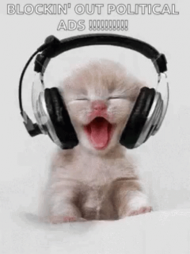 Political Ads Cat Headphones GIF