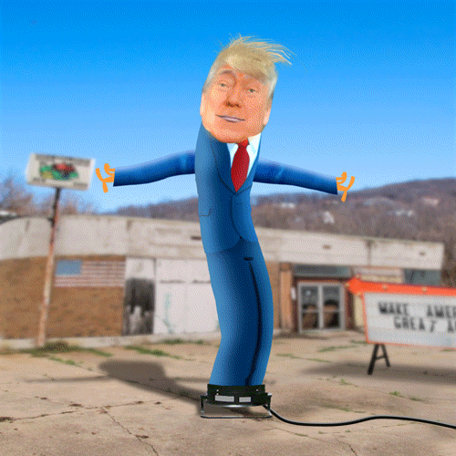 Politics Funny Dance Donald Trump GIF