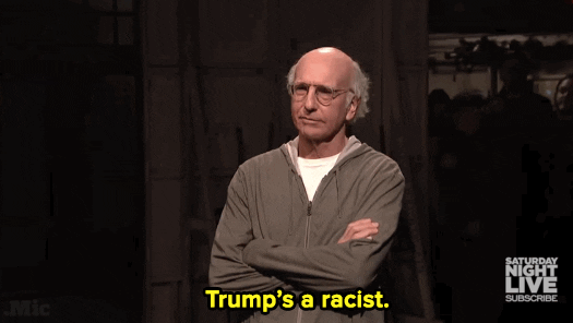 Politics Larry David Donald Trump GIF