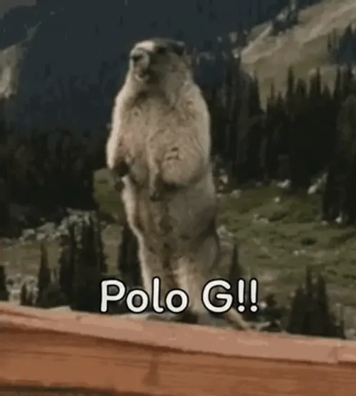 Polo G