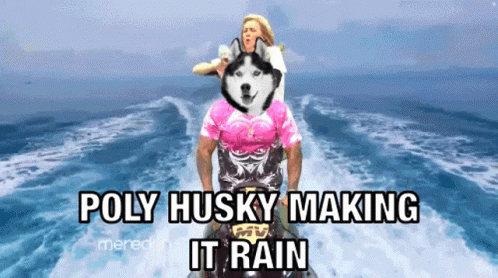 Poly Husky Making It Rain on Jet Ski