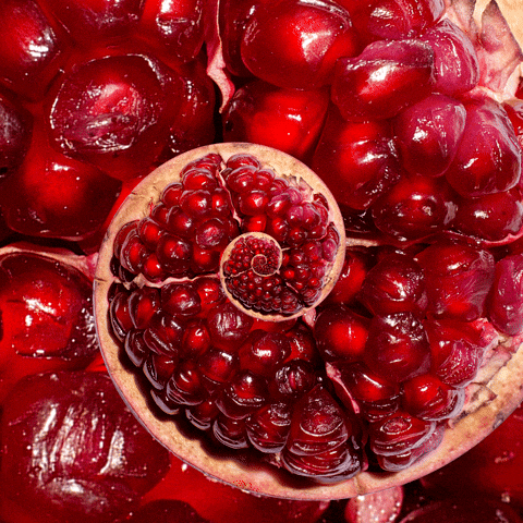Pomegranate Hypnosis Spiral GIF