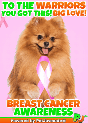 Pomeranian Dog Pink Ribbon Warriors You Got This