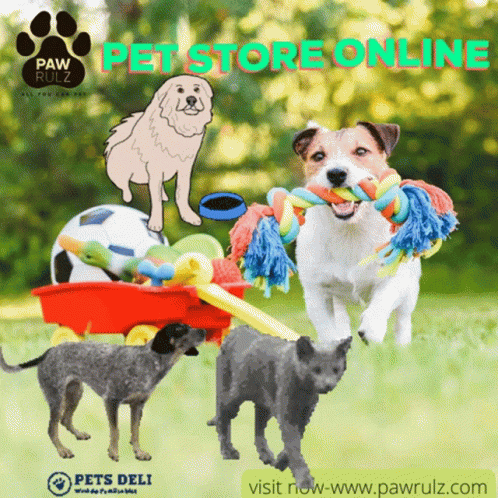 Pomeranian Dog With Pink Ribbon Saying To The Warriors You Got This Big Love