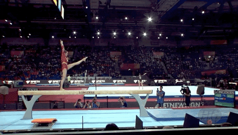 Pommel Horse Artistic Gymnastics GIF