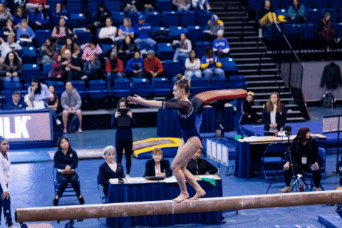 Pommel Horse Back Hand Spring GIF