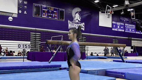 Pommel Horse Perfect Landing GIF
