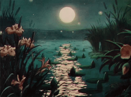 Pond With Flowers And Full Moon GIF