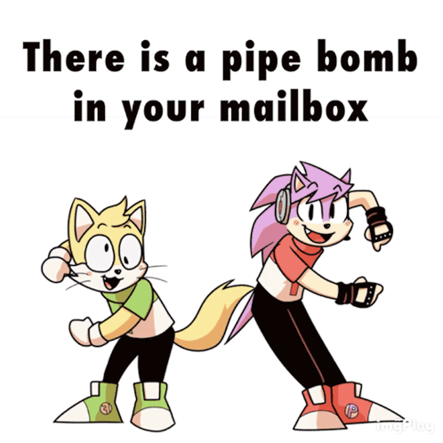 Ponic And Tails You're The Bomb GIF