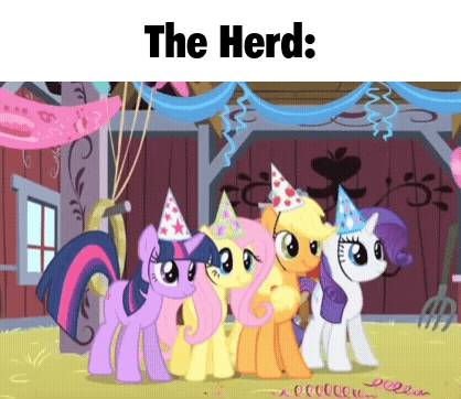 Ponies Wearing Party Hats in Barn
